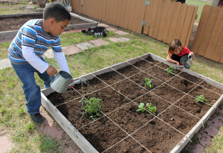 Gardening